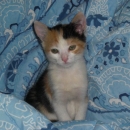 Penelope, detta Penny, all'arrivo a casa!!