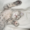 Il relax di Melinda